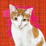 custom pet portrait  by melissa averinos